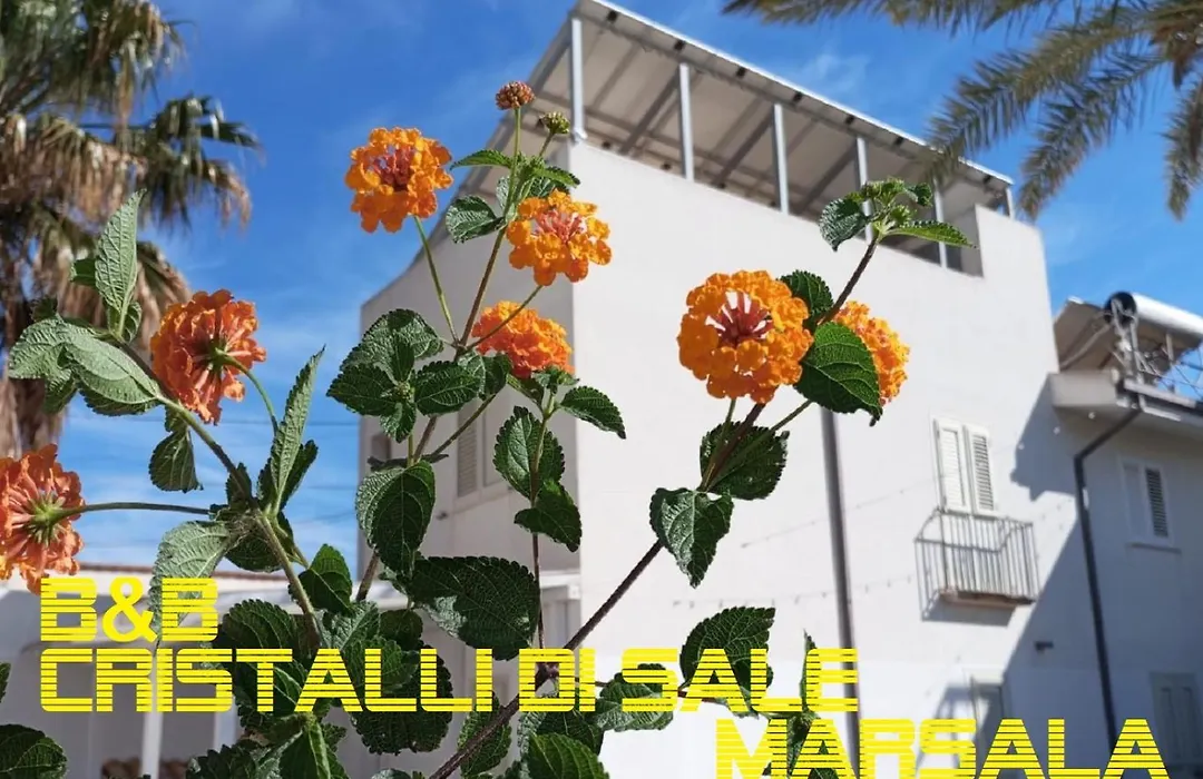 Cristalli di Sale-1